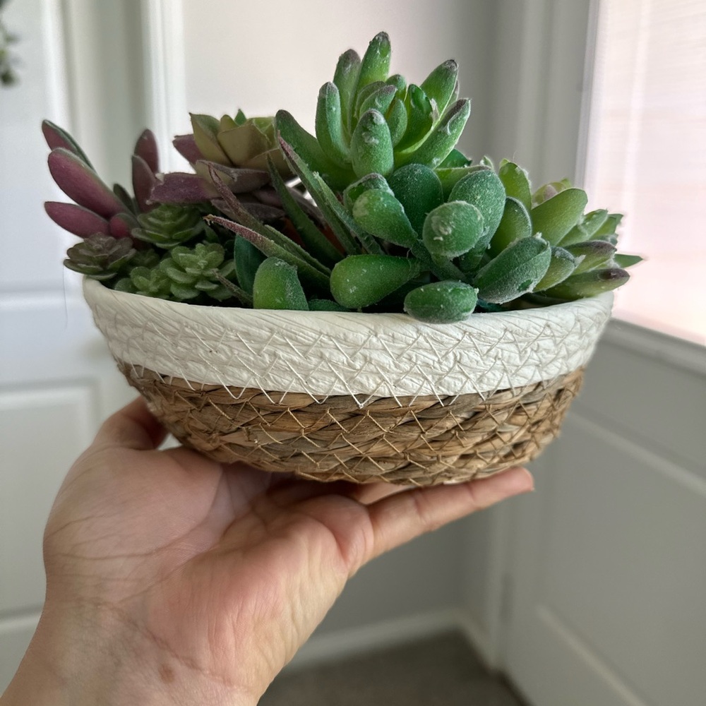 Faux Succulents In A Mini Basket